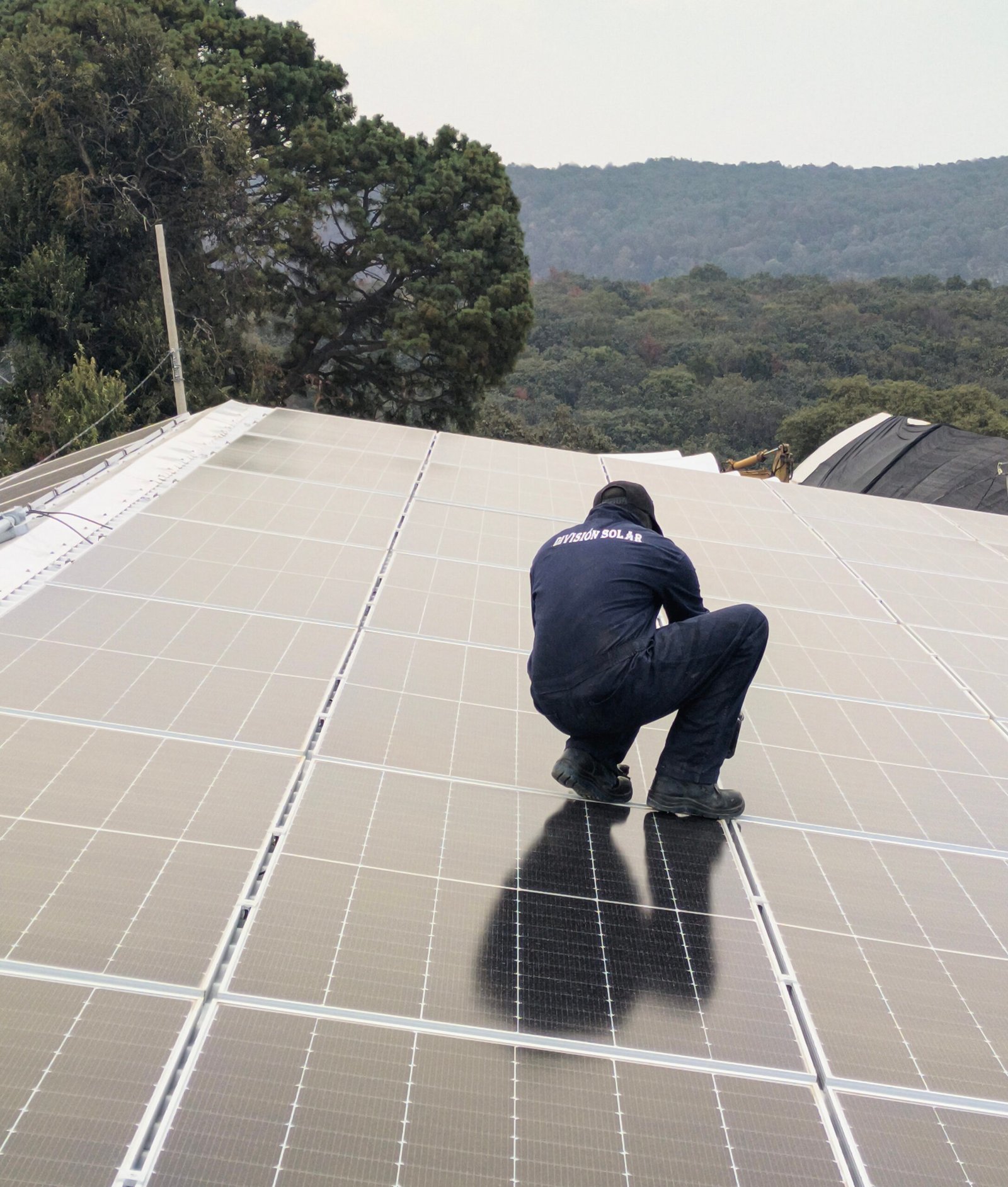 IMG_20250523_150355_137